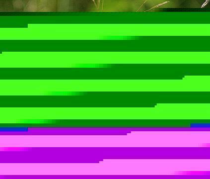 泆