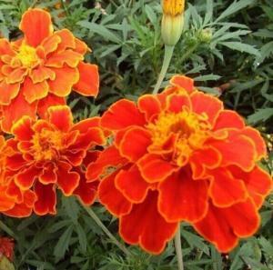 学会忍受孤独经典语录(精选55句)