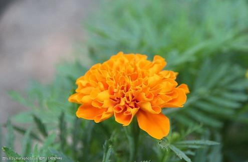 山海经里经唯美的名句汇编32句