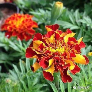 形容身体越来越差的说说(精选20句)