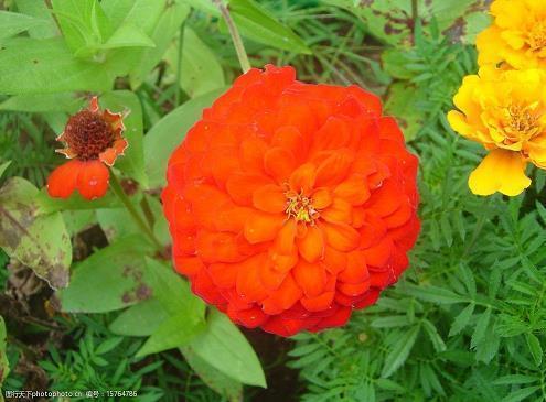 六月你好朋友圈短句精选60句