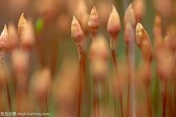 古风霸气潇洒的句子87句