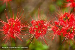 关于细节很重要的小故事4则含感悟