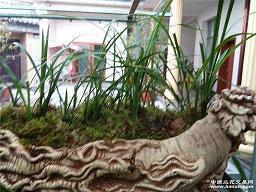 闻所不闻