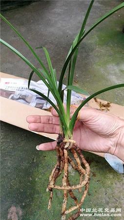 分手感人的句子 分手感人落泪的一句话