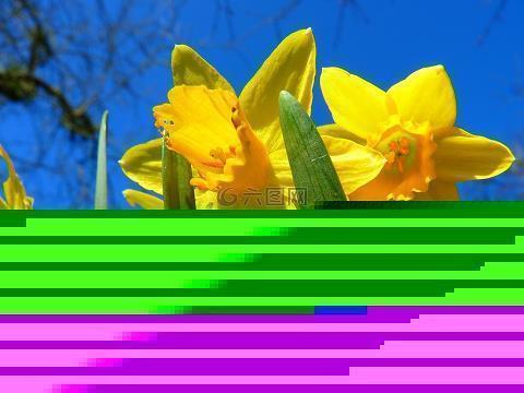 醜