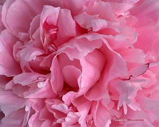 exo你们填满的空间说说86句