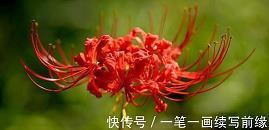 形容行也思君的句子