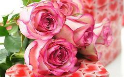 关于包馄饨的微信朋友圈说说句子(精选19句)