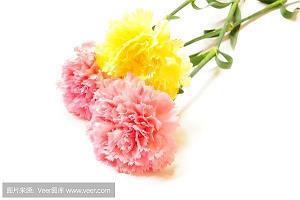 2021重阳节给长辈的祝福语精选78句