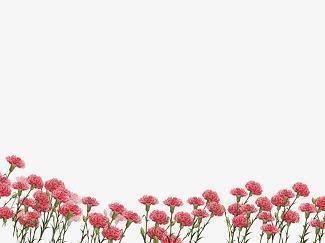 驷房