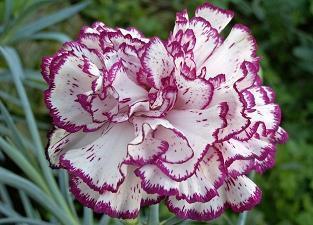 劳动最美的文案 五一劳动节的句子唯美简短合集79句