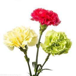 十月第一天早安心语说说(精选107句)