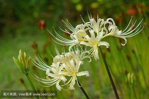高级有创意的冬至节日问候祝福语2021年(精选97条)