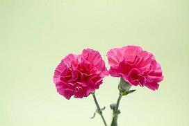 最打击男人自尊的话 最能打击男人的语句(精选15句)