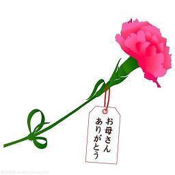 璏
