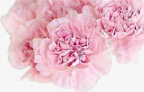 2021建党一百周年祝福语