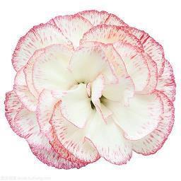 2021中秋节快乐贺词祝福语合集78句