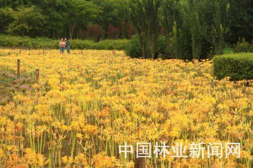 2021中秋节走心文案(精选94条)