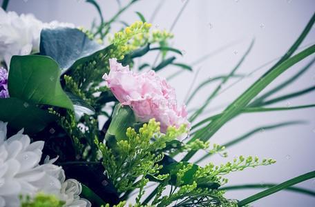 今日春分朋友圈问候文案