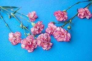 对感情不确定的说说