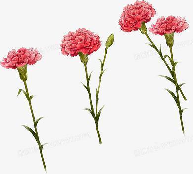 学校安全标语口号大全(精选36句)