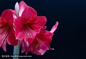 万圣节祝福语 万圣节搞怪短句