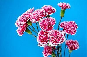 微信朋友圈个性说说17句