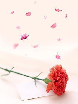 胸有成略