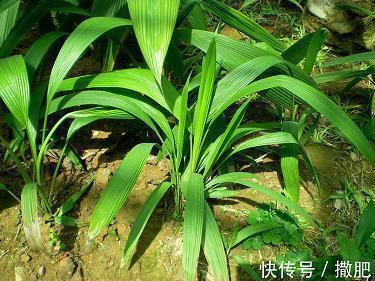 一眼就被吸引的短句合集 微信最火个性说说吸引人