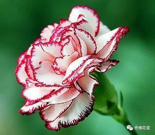 为考生加油的句子 祝愿高考成功的祝福语汇编48句