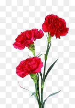 女神节写给自己的说说(精选42句)
