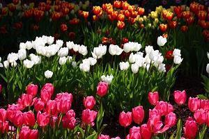 文字控说说心情 请珍惜有限岁月，活出自己，活出生命