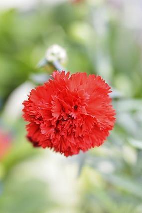 2021庆祝劳动节愉快的祝福语录文案汇总73句