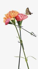 2021庆祝建党100周年简短祝福语 2021祝福党的语句十个字左右