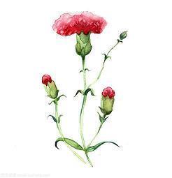 2021教师节祝福语简短一句话精选74句