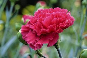 一句话简单的伤感心情说说(精选39句)