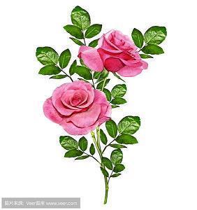 芚