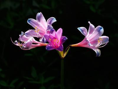 适合夜间发朋友圈的句子_ 适合发朋友圈的晚安语