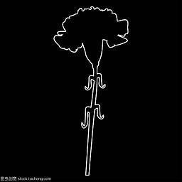 文字控可以发的唯美又文艺的说说 ？只是春光如此却不得见你
