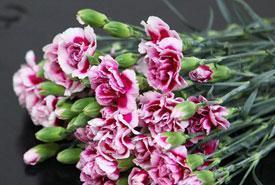 中秋节简短文案说说(精选91句)