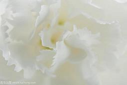 焆