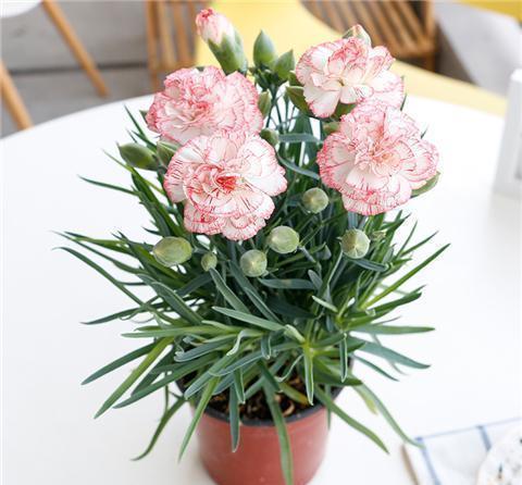 快手语录经典语录 社会语录短句快手