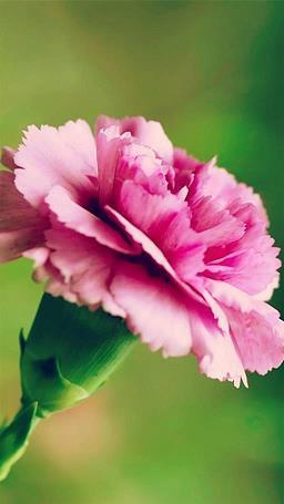 十月你好说说积极乐观 十月你好充满阳光的说说