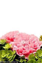 2021春节拜年祝福语