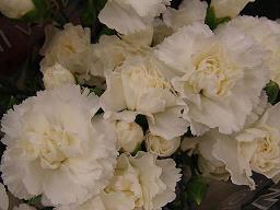 关于烤肉的朋友圈说说 关于吃烤肉的心情说说(精选29句)