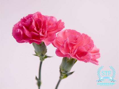 冬天温暖浪漫的爱情句子32句