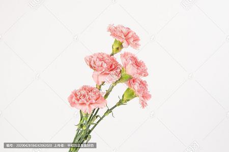 胜读十年书
