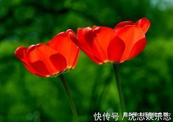 一个人夜跑的心情说说