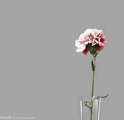 奶凶奶凶的可爱文案 宝藏女孩专属甜句(精选75句)